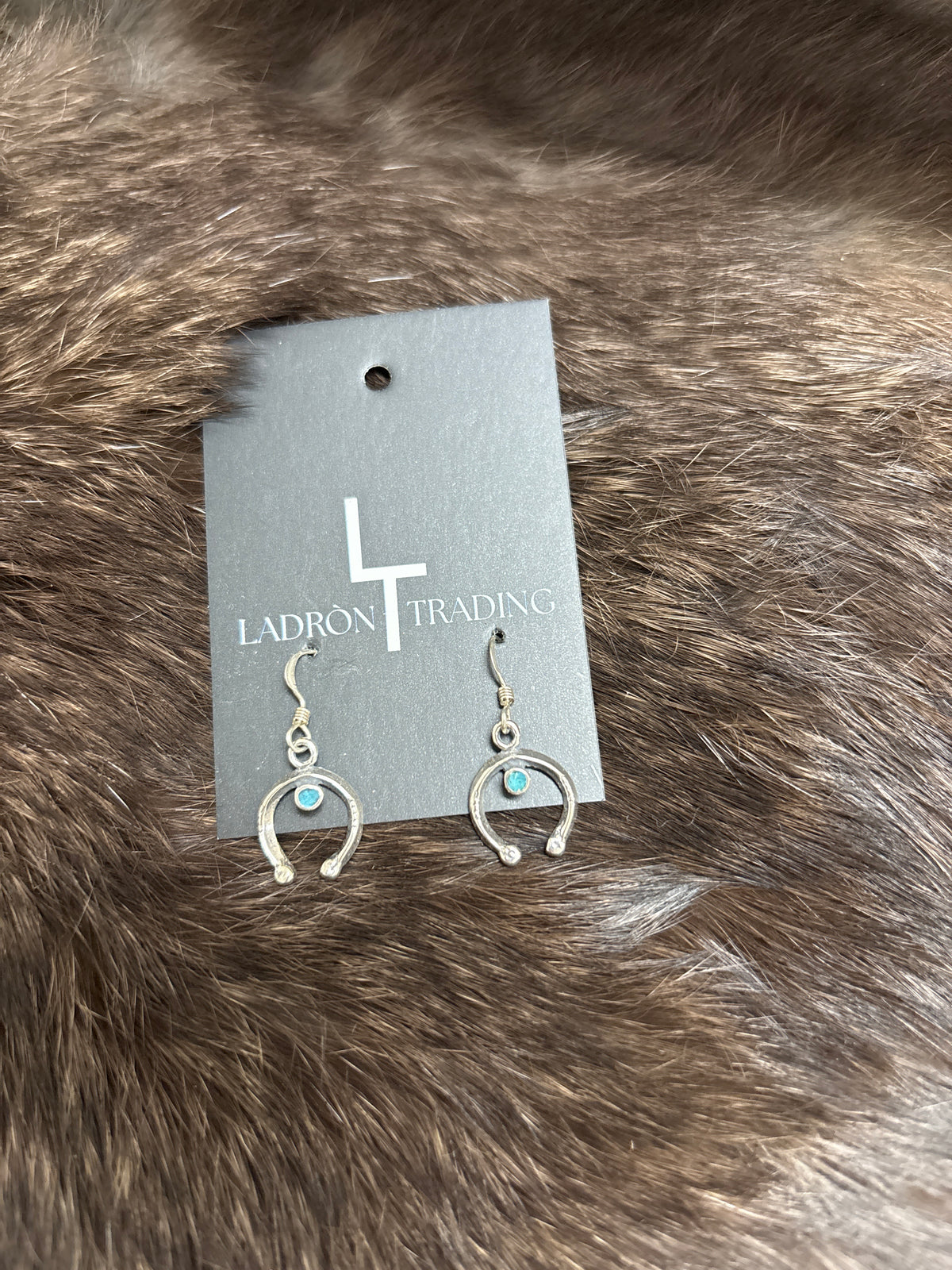 Horseshoe Earrings