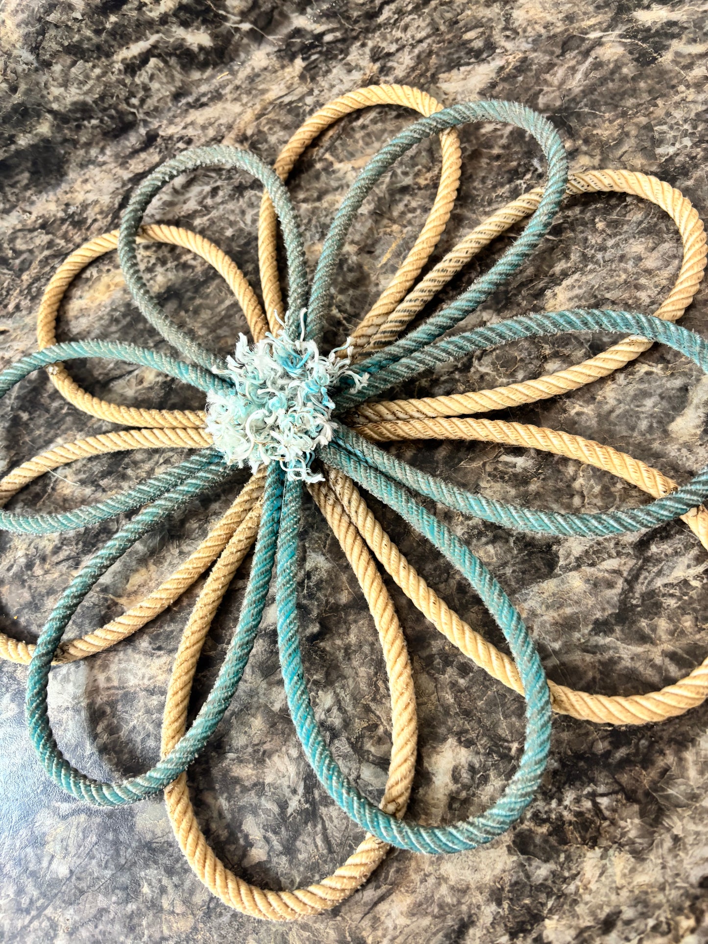 Blue/White Double Flower