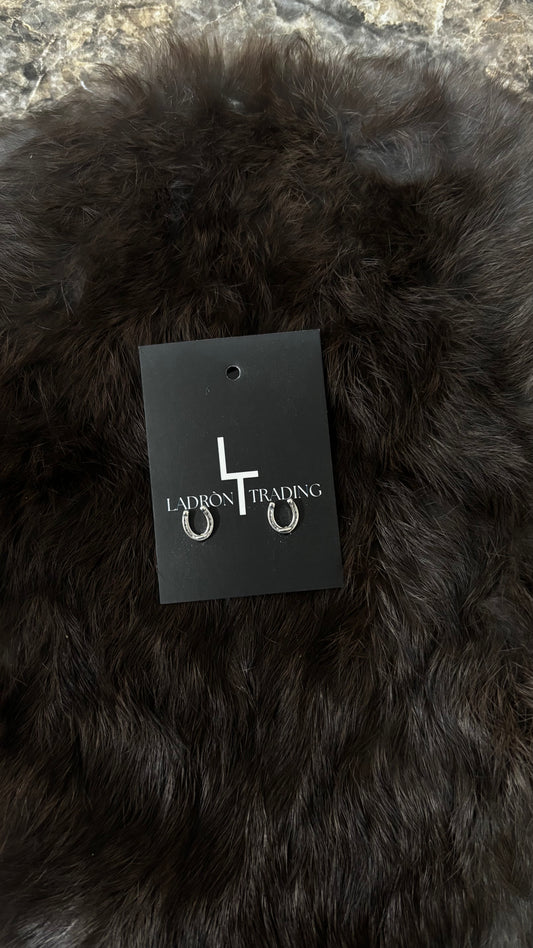 Horseshoe Earrings