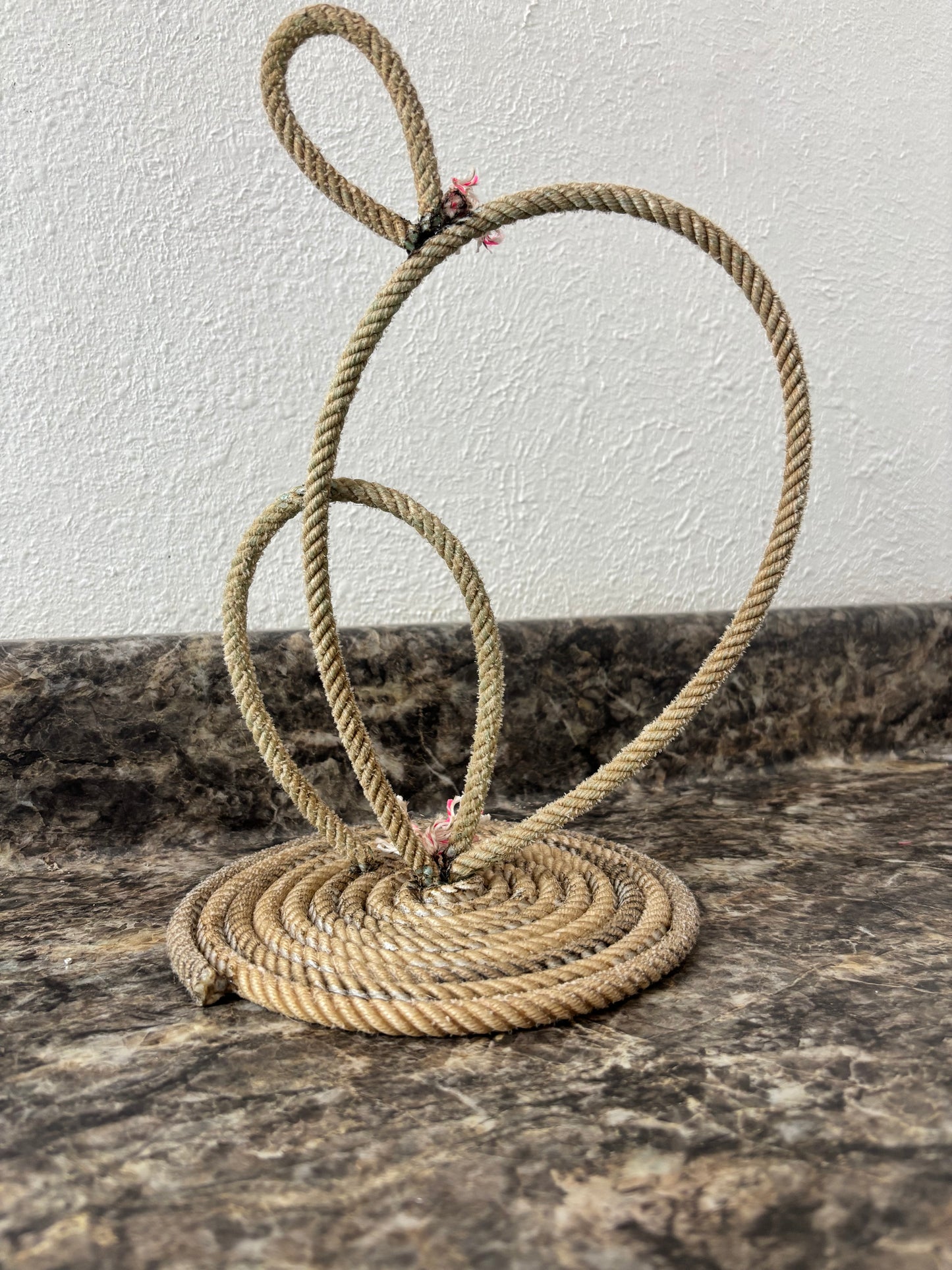 Rope Cactus