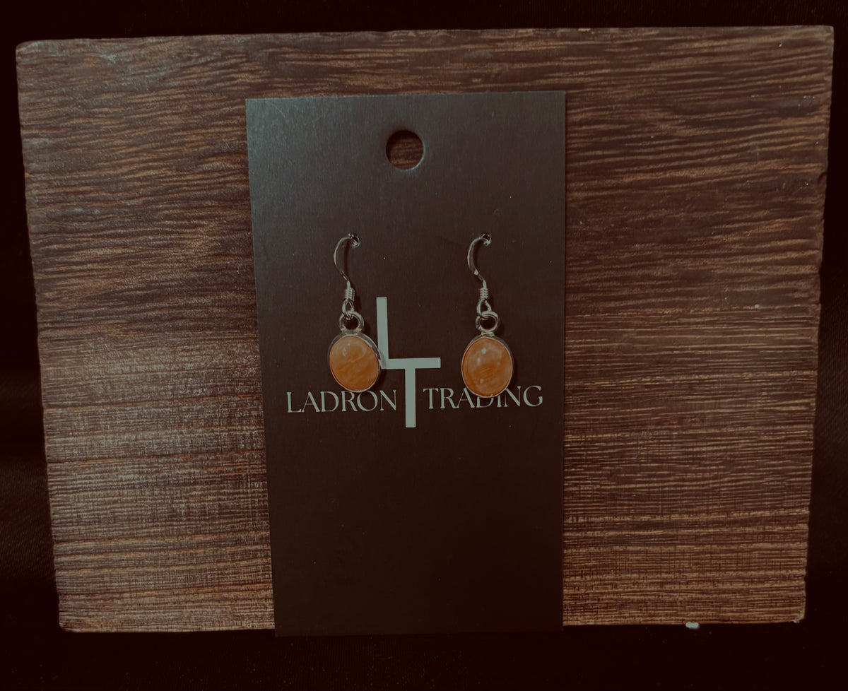 Orange Stone Earrings