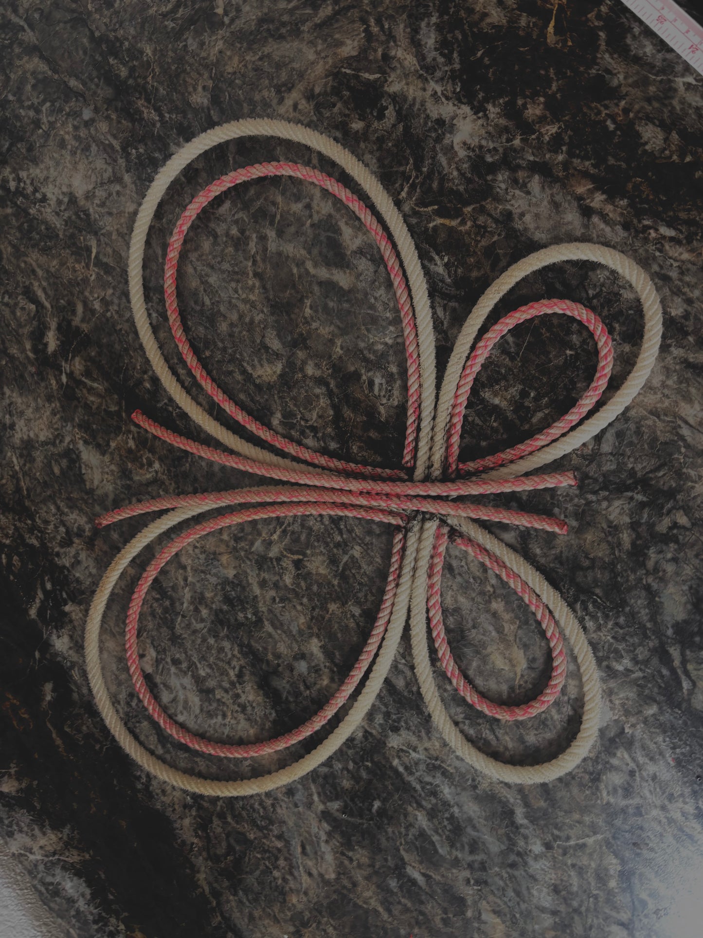 Pink/White Butterfly Rope