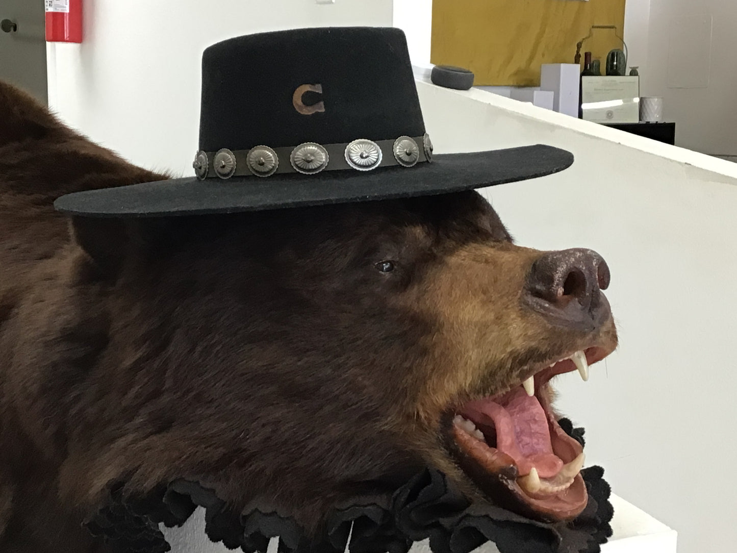 Charlie 1 hat