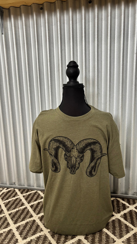 Bighorn