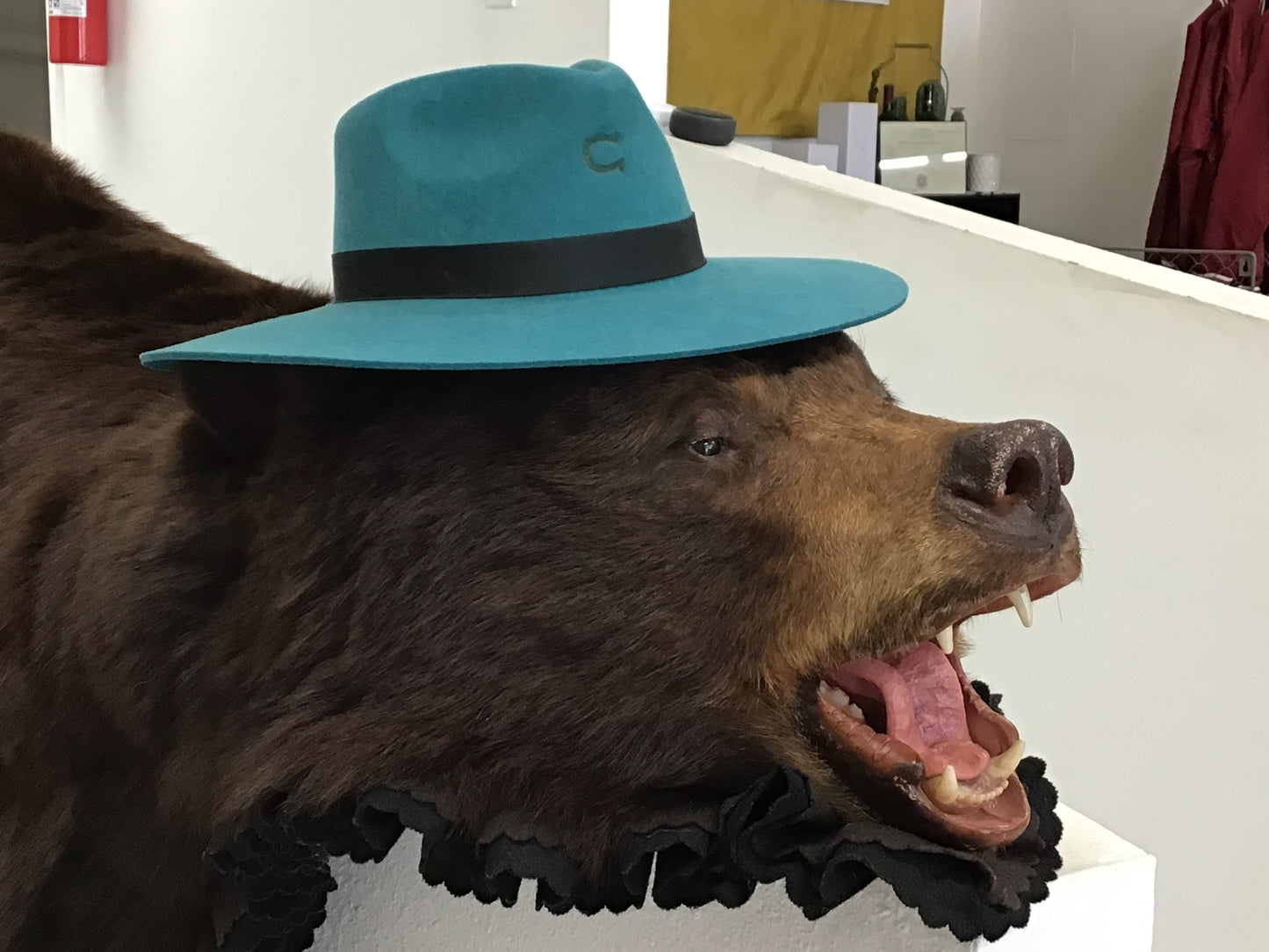 Charlie 1 hats
