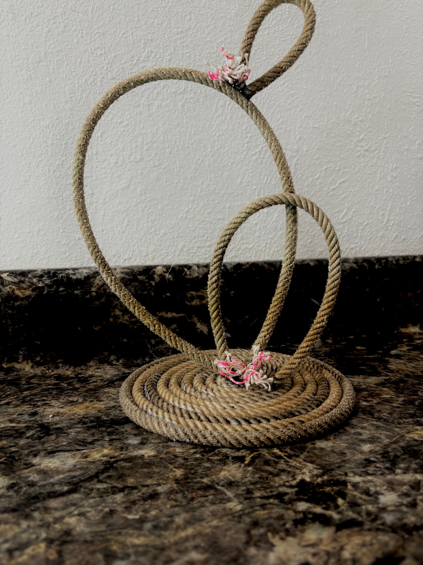 Rope Cactus