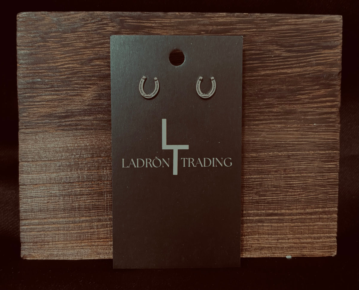 Horseshoe Earrings