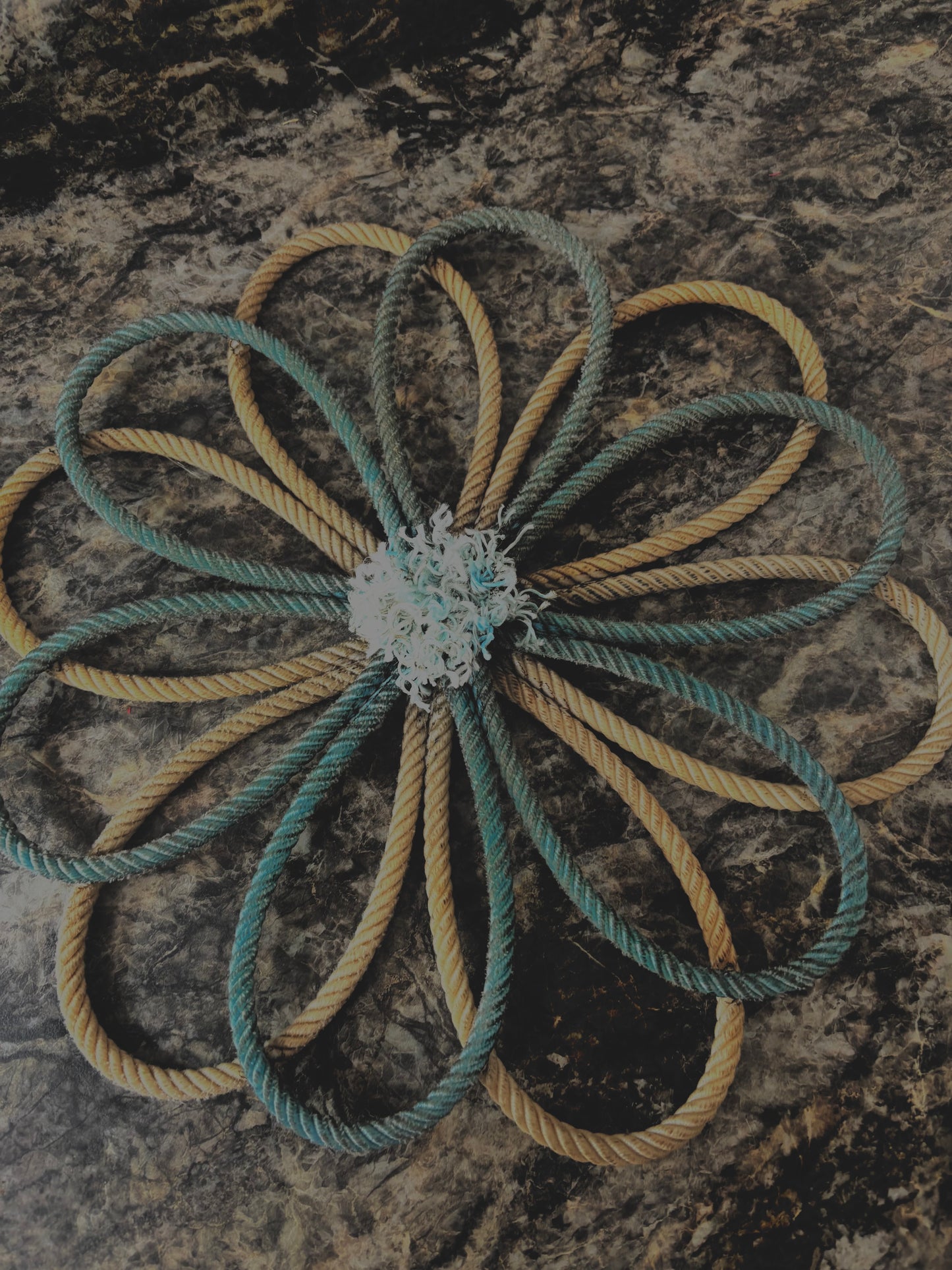 Blue/White Double Flower