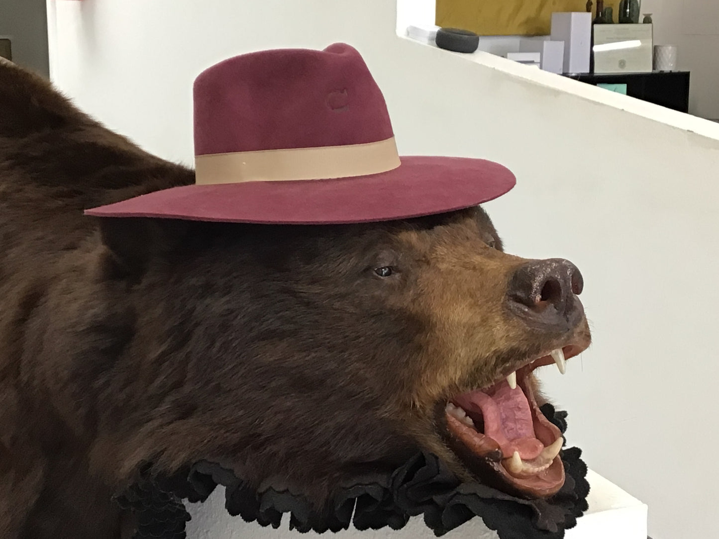 Charlie 1 hat